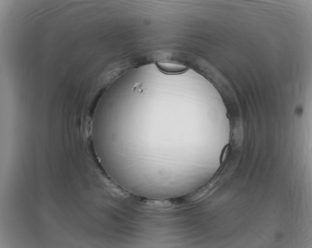 X0000096950525200802080923