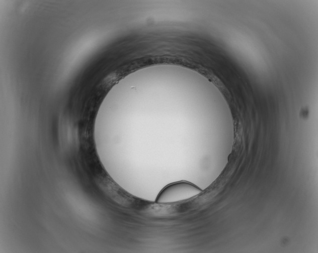 X0000096950526200802080923