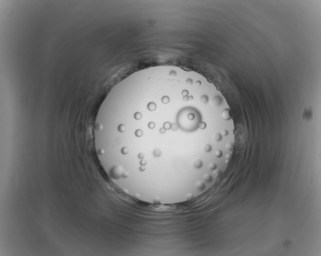 X0000096950527200802080923