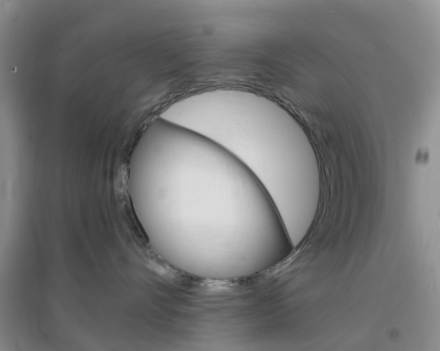 X0000096950528200802080923