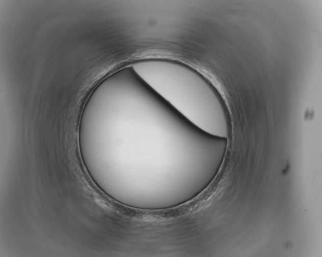 X0000096950529200802080923