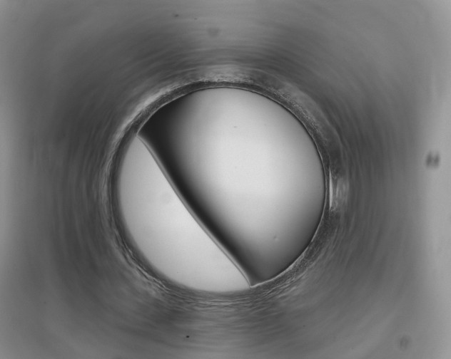 X0000096950531200802080923