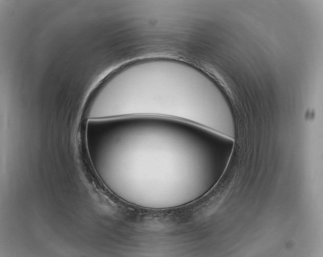 X0000096950532200802080923