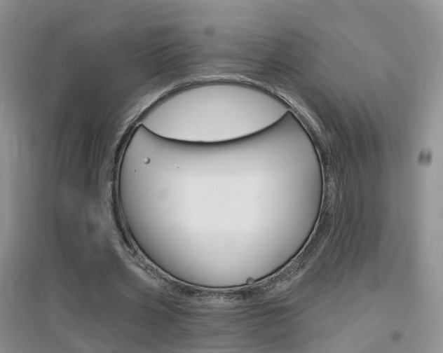 X0000096950533200802080923