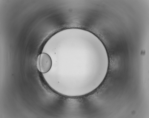 X0000096950534200802080923