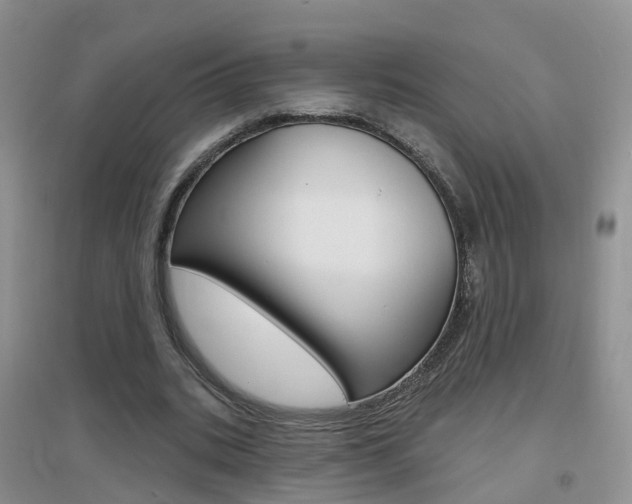 X0000096950535200802080923