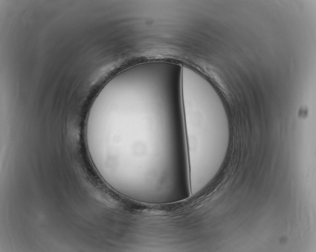 X0000096950539200802080923