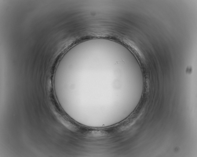 X0000096950541200802080923