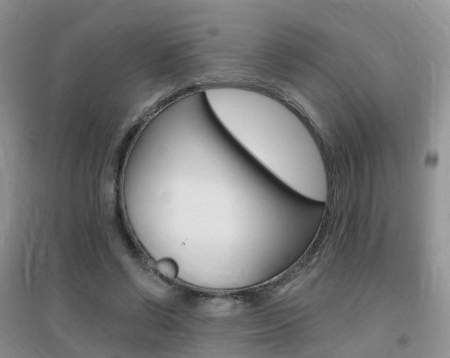 X0000096950542200802080923