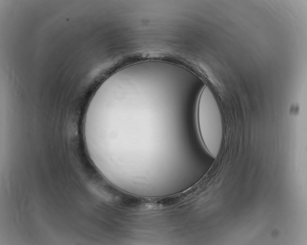 X0000096950543200802080923