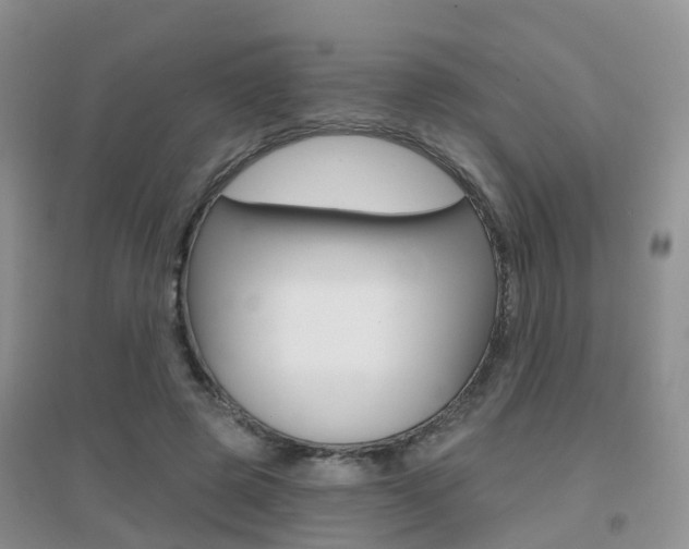 X0000096950545200802080923