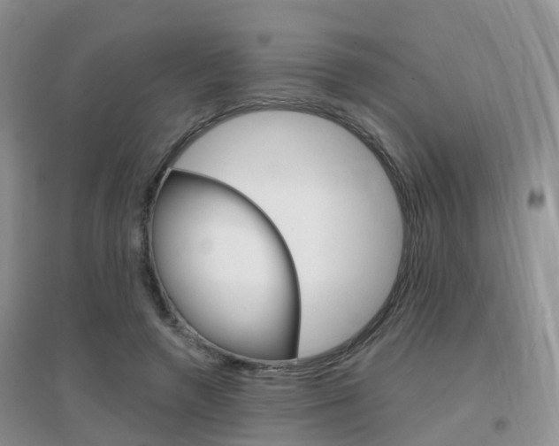 X0000096950546200802080923