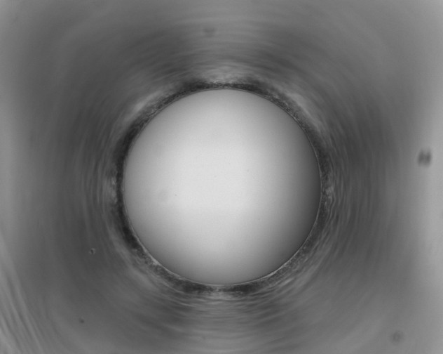 X0000096950547200802080923