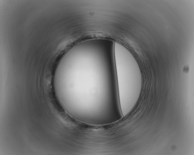 X0000096950548200802080923