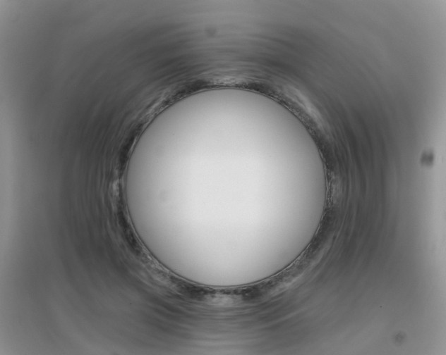 X0000096950549200802080923