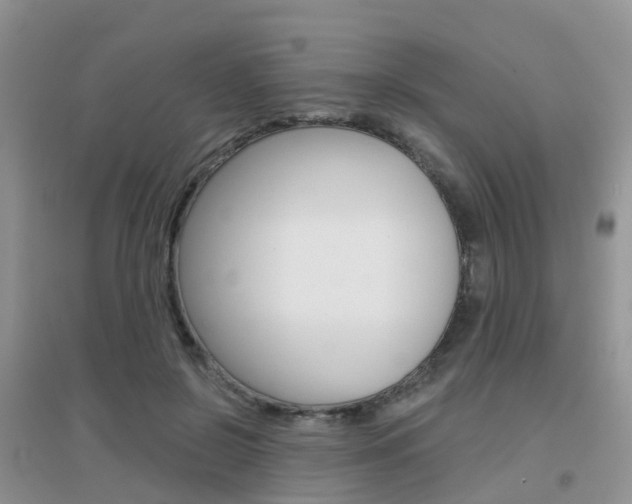 X0000096950550200802080923