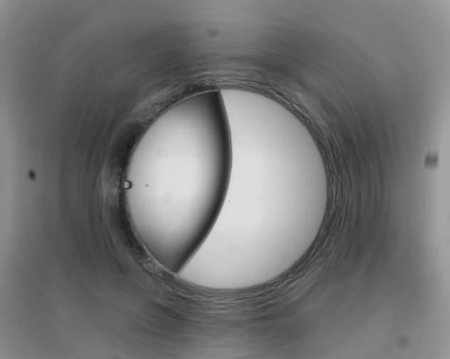 X0000096950551200802080923