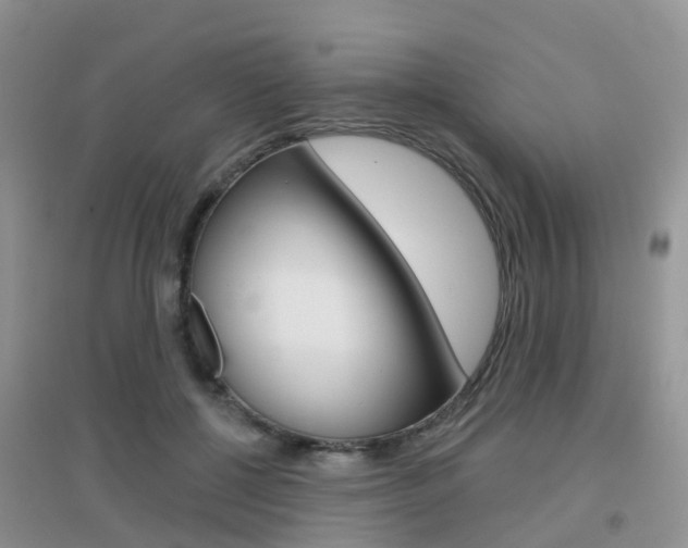 X0000096950552200802080923