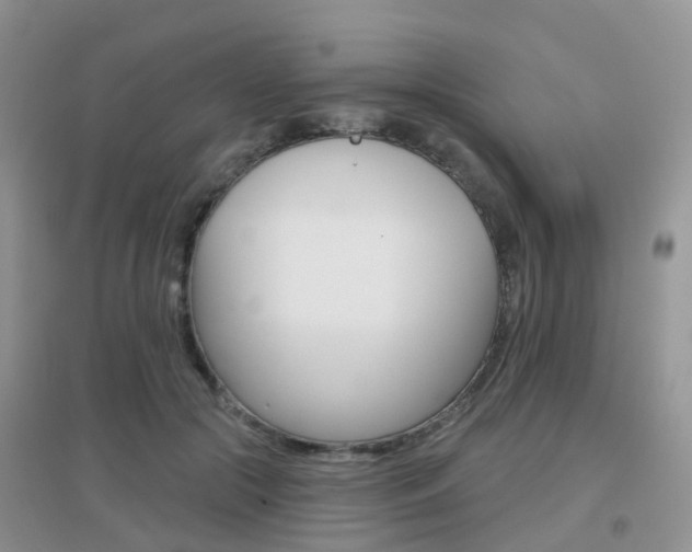 X0000096950553200802080923