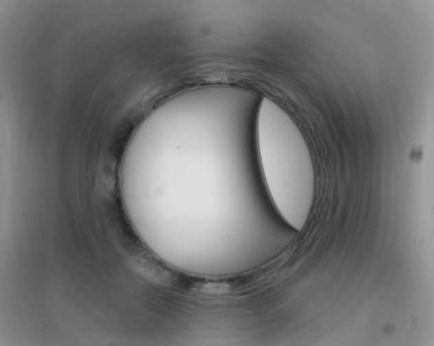 X0000096950554200802080923