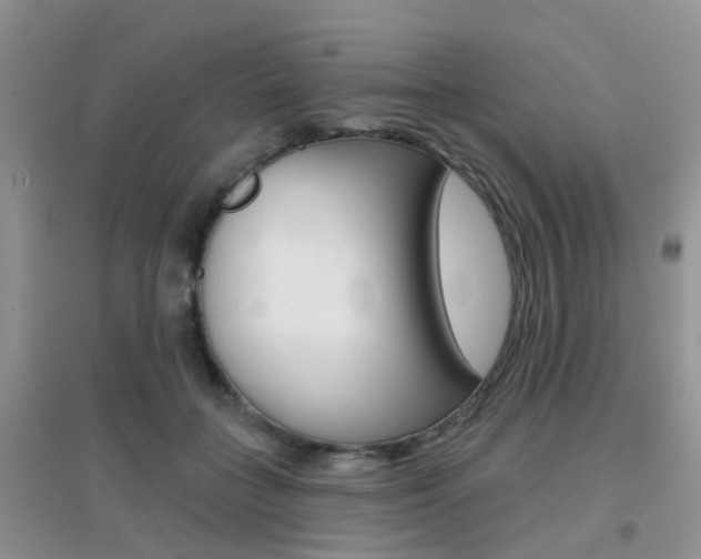 X0000096950555200802080923