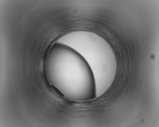 X0000096950556200802080923