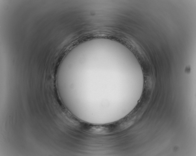 X0000096950557200802080923