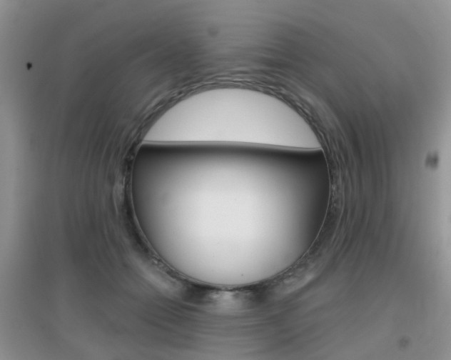 X0000096950558200802080923