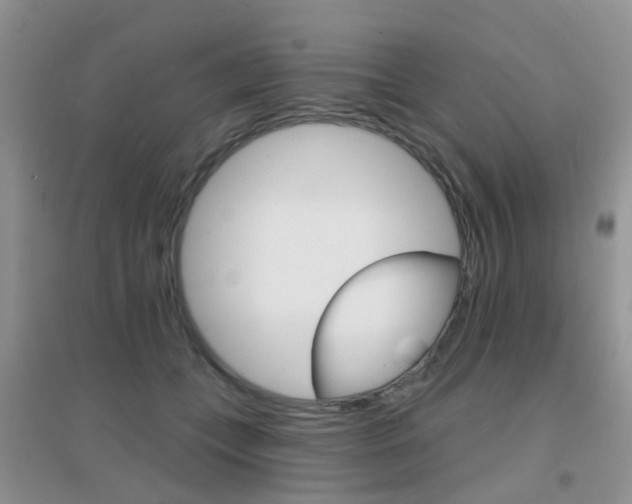 X0000096950559200802080923