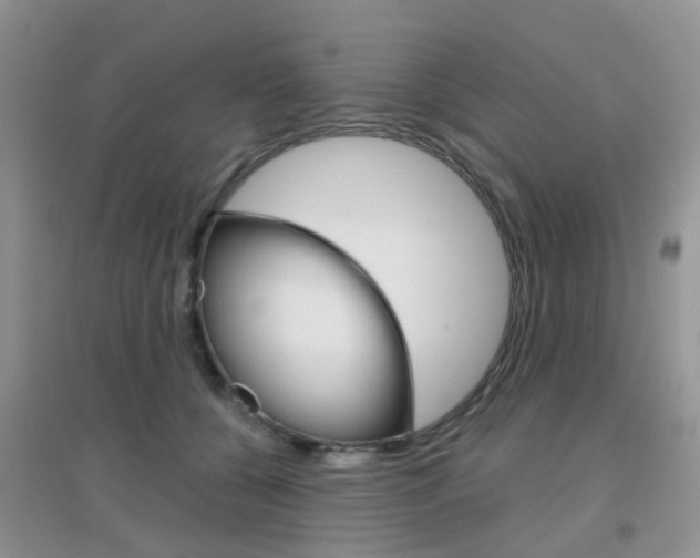 X0000096950560200802080923
