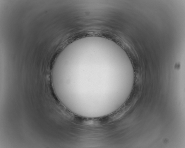 X0000096950561200802080923