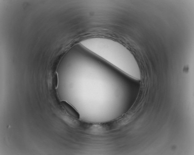 X0000096950562200802080923