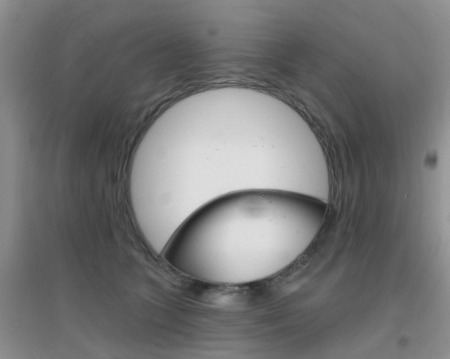 X0000096950563200802080923