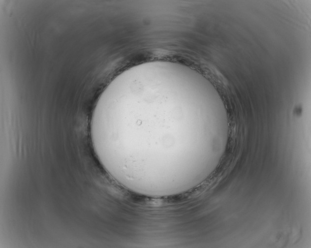 X0000096950565200802080923
