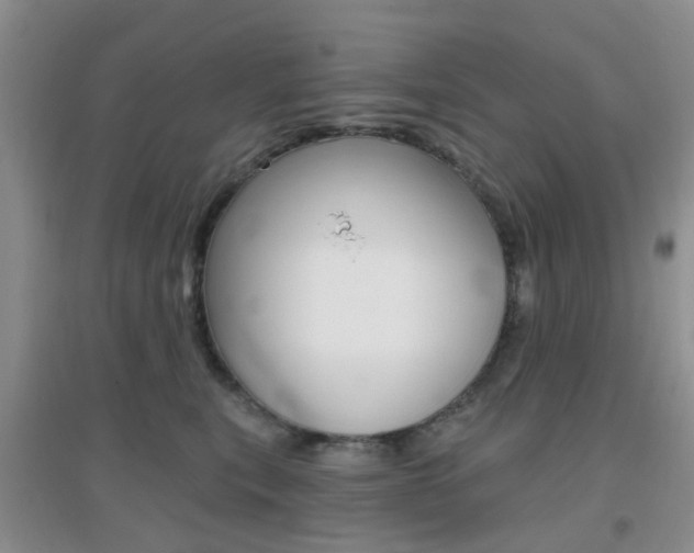 X0000096950567200802080923