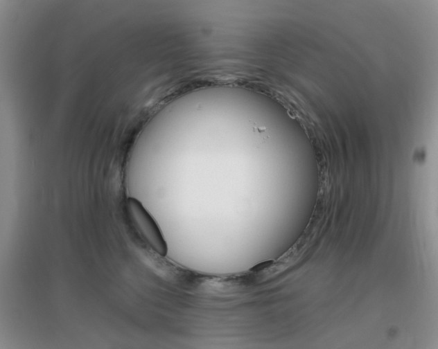 X0000096950568200802080923