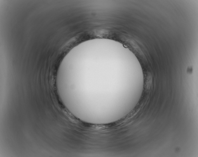 X0000096950569200802080923