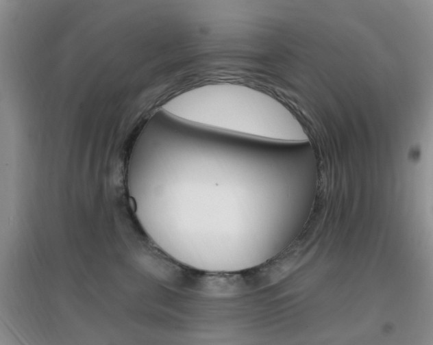 X0000096950571200802080923
