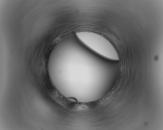 X0000096950572200802080923