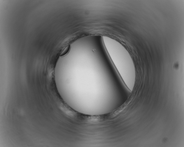 X0000096950574200802080923