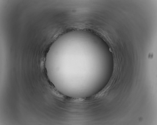 X0000096950576200802080923