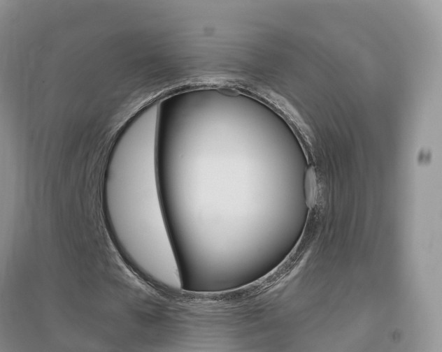 X0000096950577200802080923