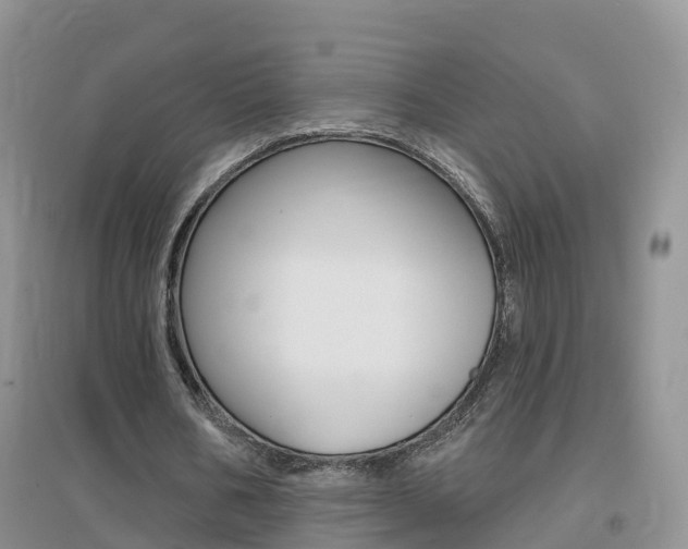 X0000096950578200802080923