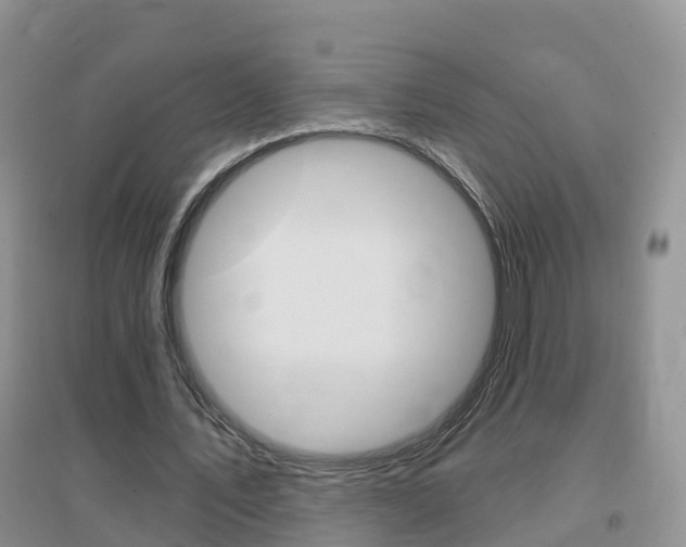 X0000096950579200802080923