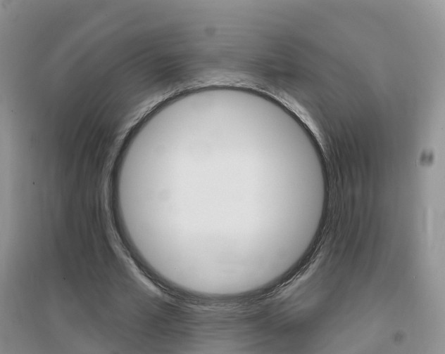 X0000096950581200802080923