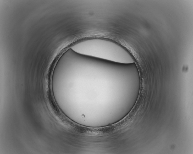 X0000096950582200802080923