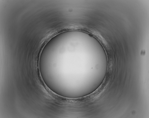 X0000096950585200802080923