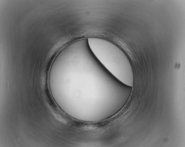 X0000096950586200802080923