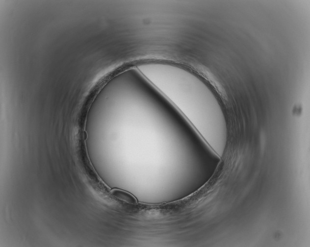 X0000096950588200802080923