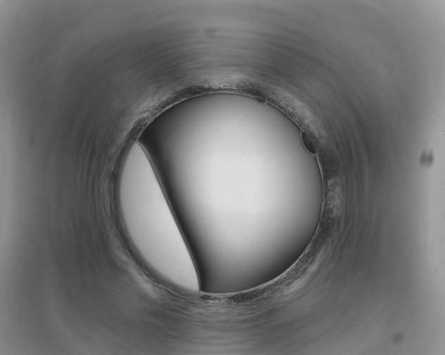 X0000096950589200802080923